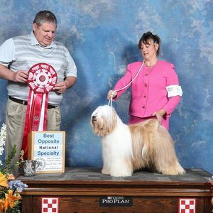 Meet your Posher, Lynn